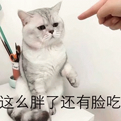 示例图片